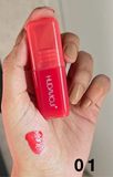 HUDAMOJI LIP SHINE LIPGLOSS -
