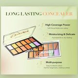IMAGIC Professional-12Color Correction Palette.