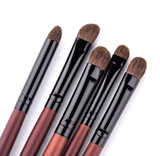 RANCHI professional horse hair brushes .7 pcs