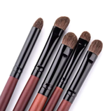 RANCHI professional horse hair brushes .7 pcs